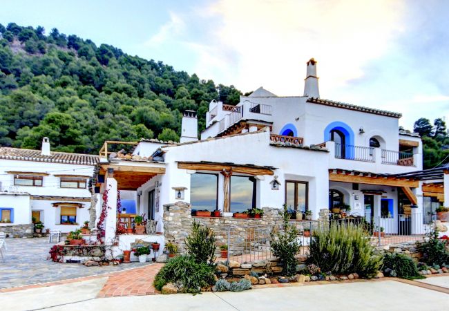 Casa rural en Seron - Alojamiento Completo (5 apartamentos)